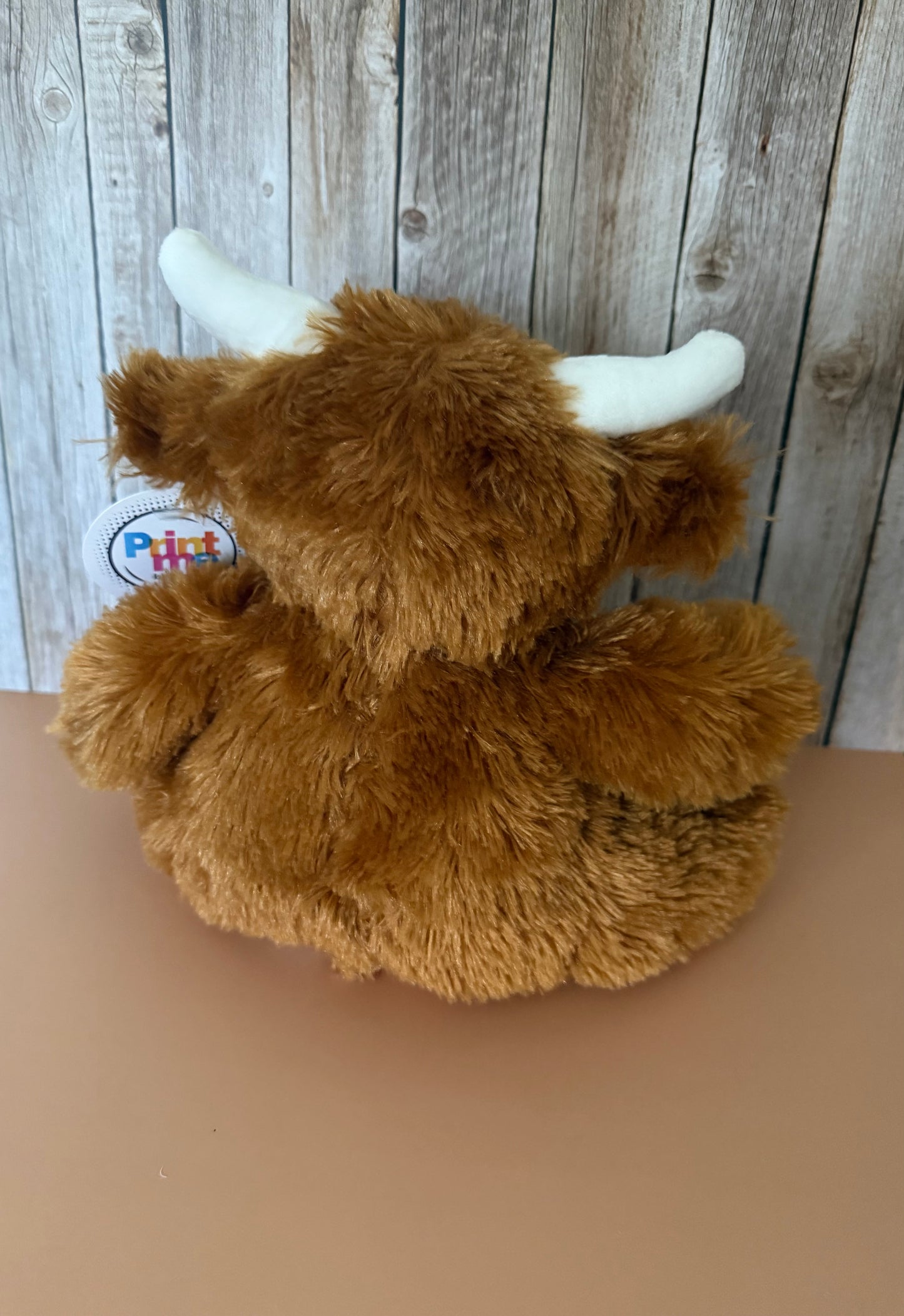 Cute Highland Cow 🐮