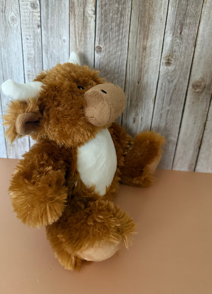 Cute Highland Cow 🐮